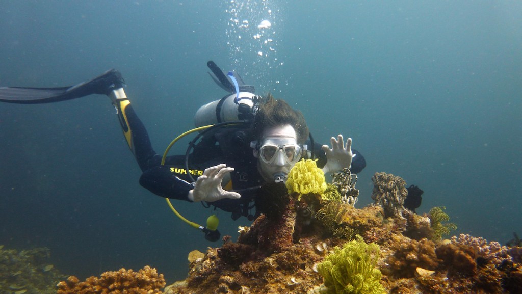 Underwater Photography Philippines