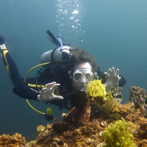 Underwater Photography Philippines