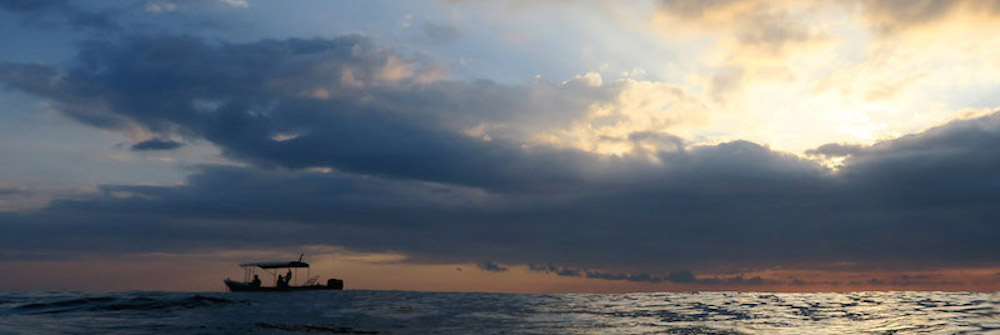 The liberty wreck