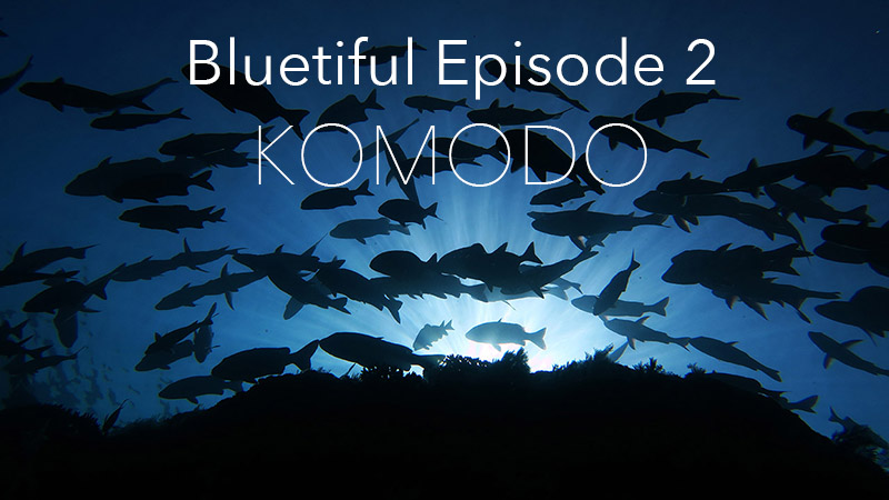 Komodo Underwaterphotography Underwatervideography