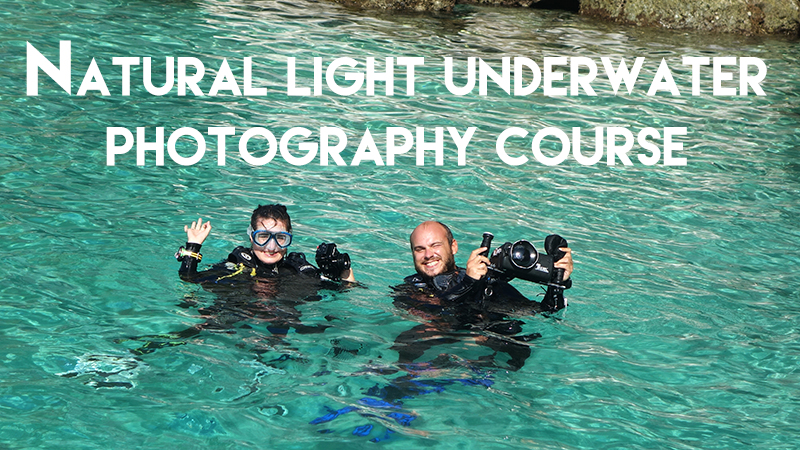 underwater photography course Diving Underwater Water Sea Ocean Underwater Photography Underwater Videography Underwater Photo Marine Life Turtle Fish Corals Reef El Nido Palawan Philippines Adventure Travel Leisure Discover Scuba Diving Underwater Videographer Underwater Photographer Underwater Videography Course Underwater Production
