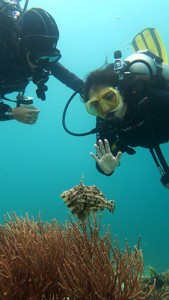 Underwater Videography Course Underwater Photography Underwater Videography Underwater Photographer Underwater Videographer Underwater Photo Underwater Production Passion Sea Ocean Water El Nido Palawan Philippines Marine Life Corals Reefs Scuba Diving