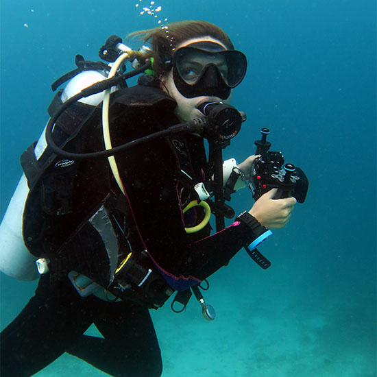 Underwater Photography Underwater Videography Course Marine Life Scuba Diving Ocean Sea Underwater Adventure